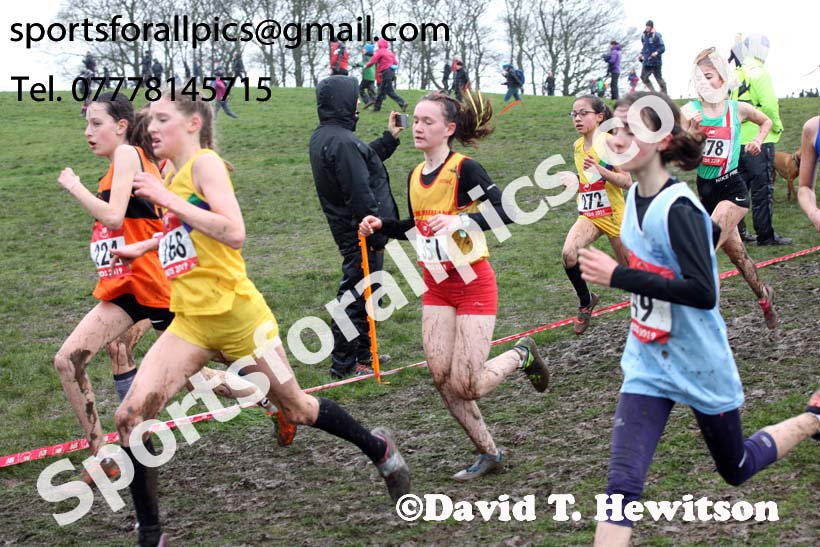 Junior girls 2019 New Balance English Schools Cross Country Champs, Temple Newsam, Leeds. Photo:  David T. Hewitson/Sports for All Pics